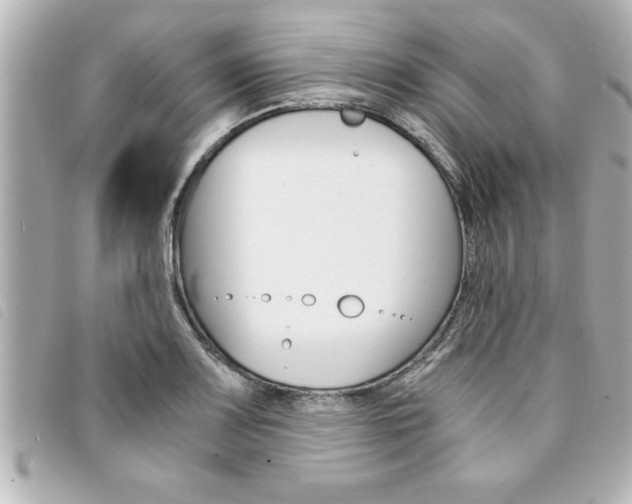 X0000094201083200710260907