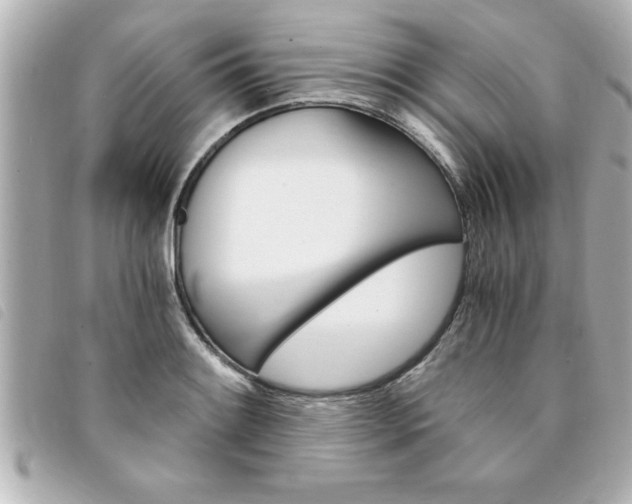 X0000094201084200710260907