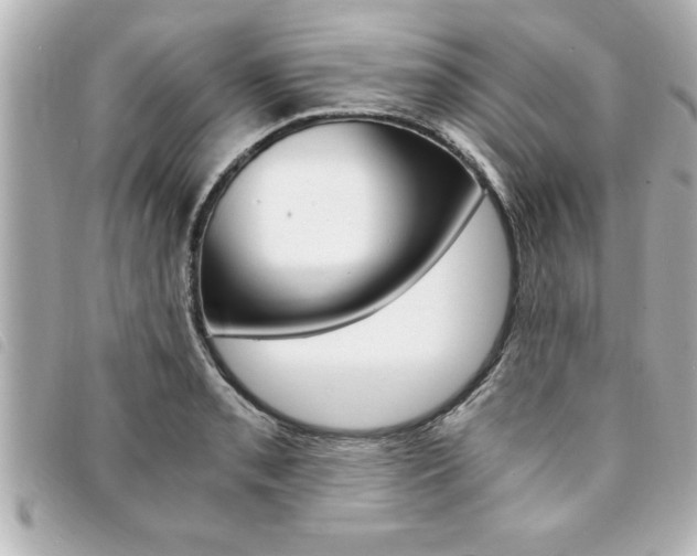 X0000094201085200710260907