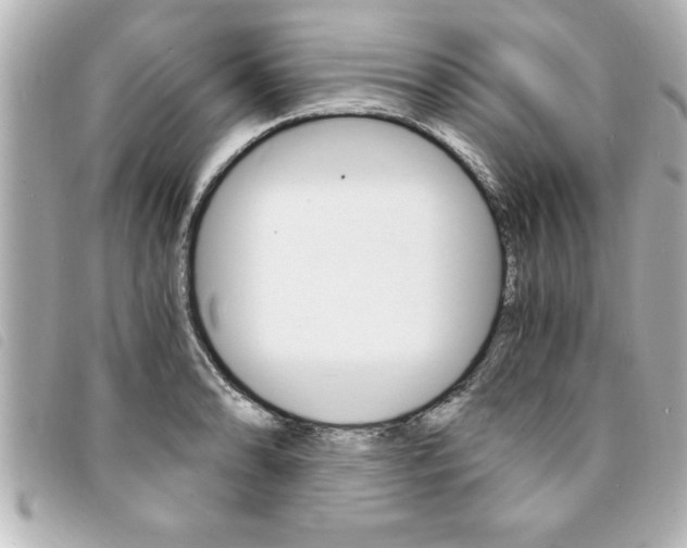 X0000094201086200710260907