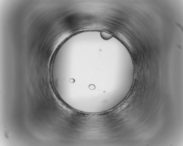 X0000094201087200710260907