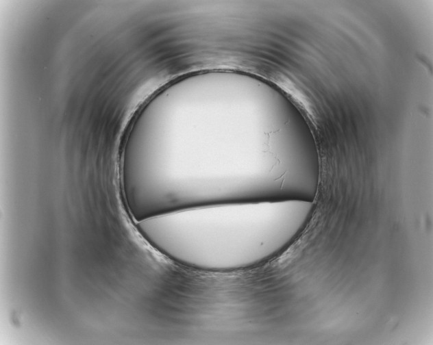 X0000094201088200710260907