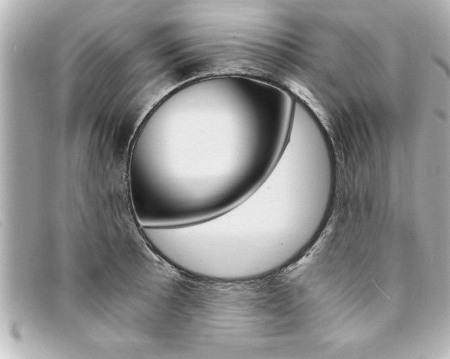 X0000094201089200710260907