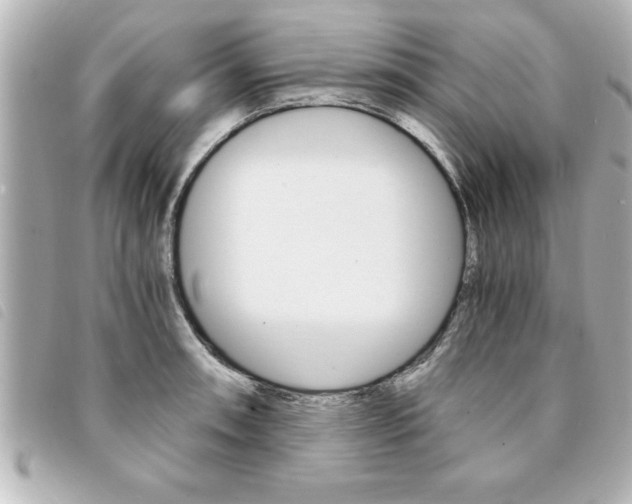 X0000094201090200710260907