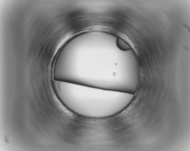 X0000094201091200710260907