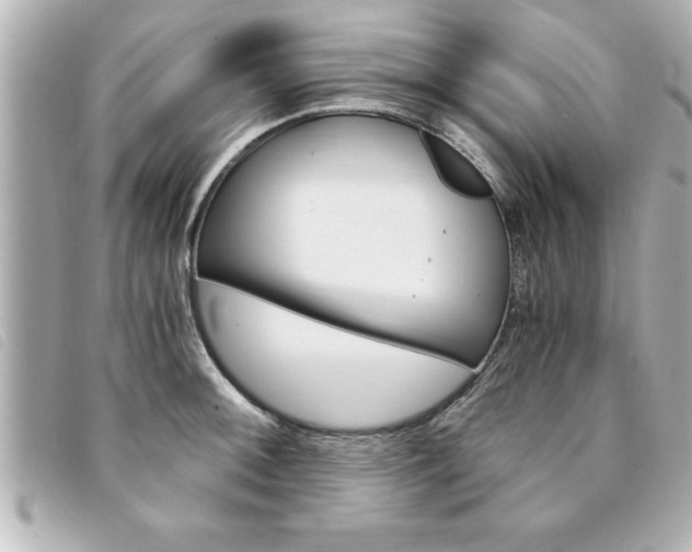 X0000094201092200710260907