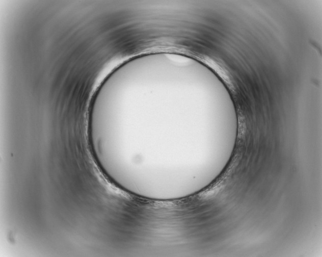 X0000094201094200710260907