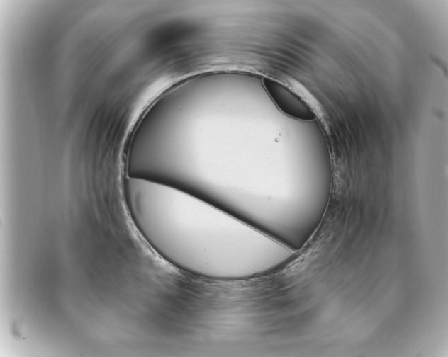 X0000094201096200710260907