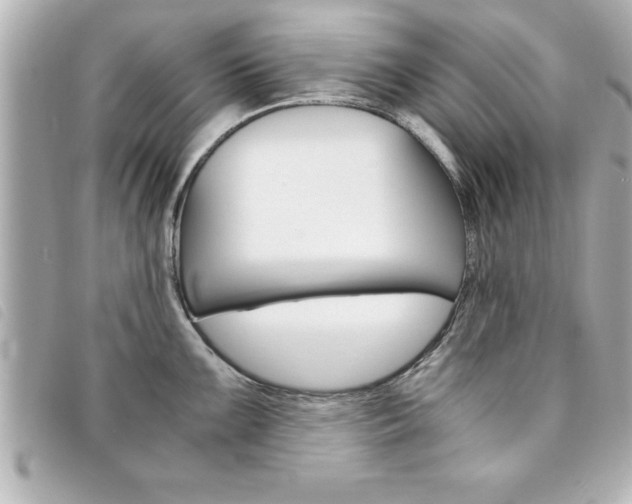 X0000094201099200710260907