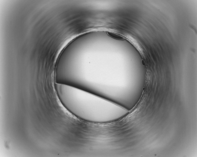 X0000094201100200710260907