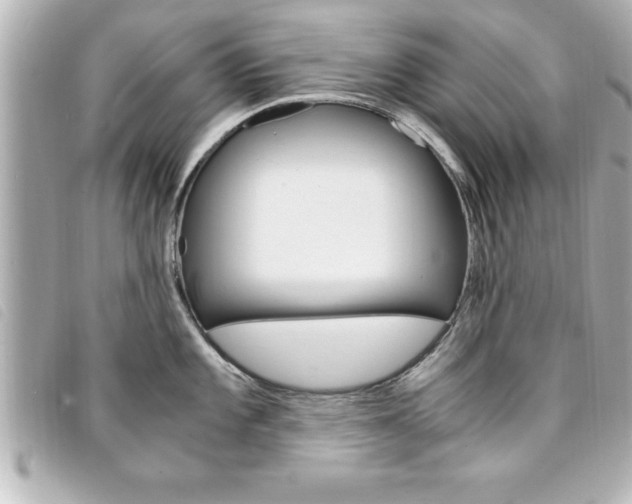 X0000094201101200710260907
