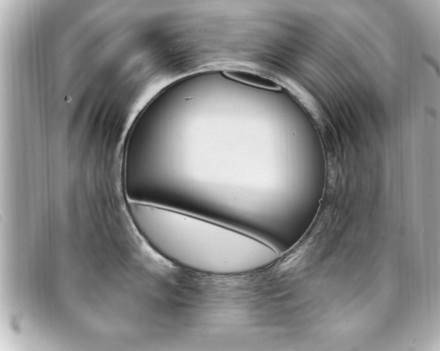 X0000094201102200710260907