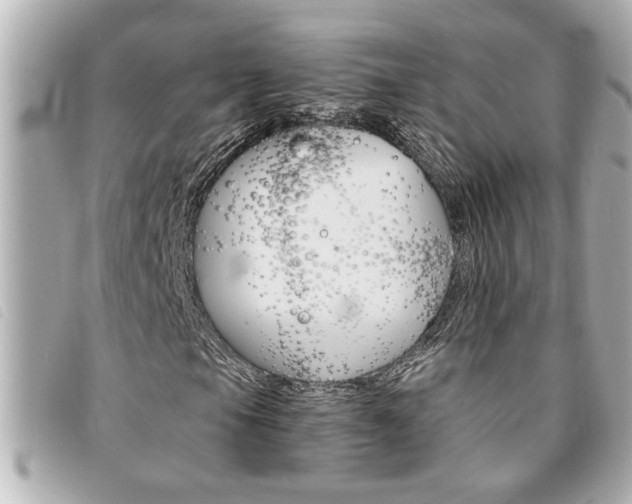 X0000094201105200710260906