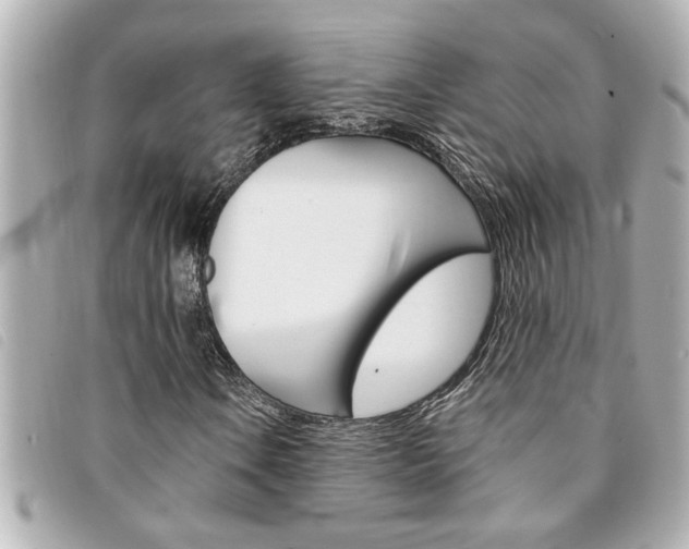 X0000094201106200710260906