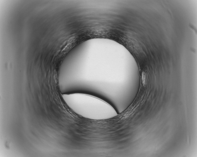 X0000094201107200710260906
