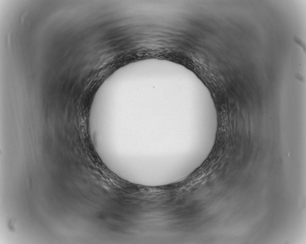X0000094201109200710260906