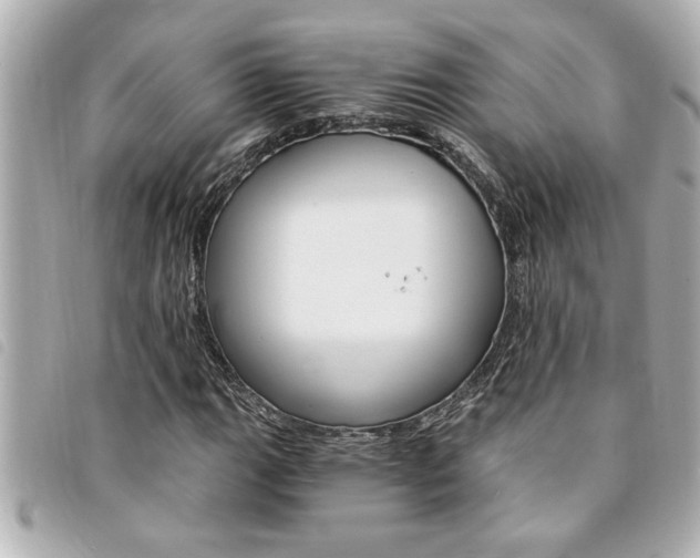 X0000094201111200710260906