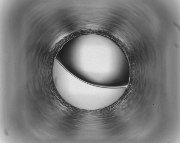 X0000094201112200710260906