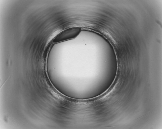 X0000094201114200710260906