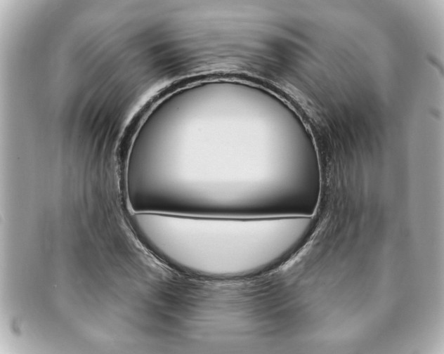 X0000094201118200710260906