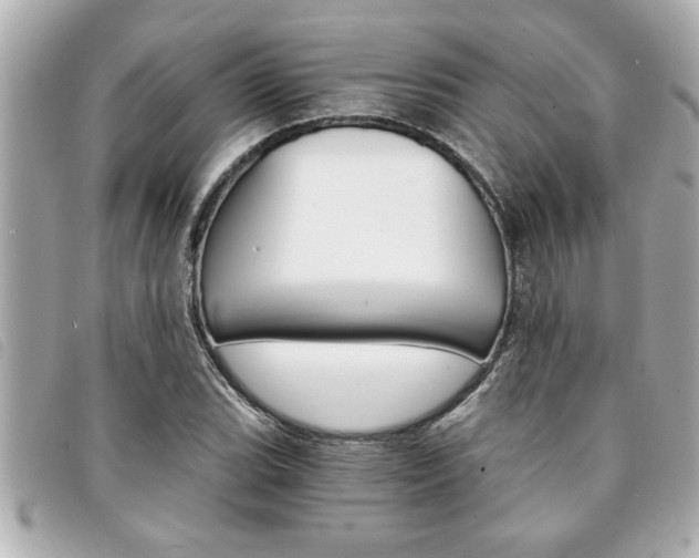 X0000094201119200710260906