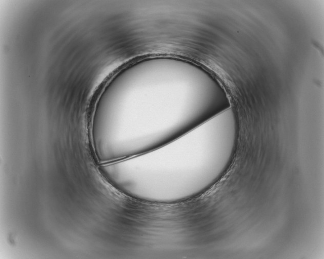 X0000094201120200710260906