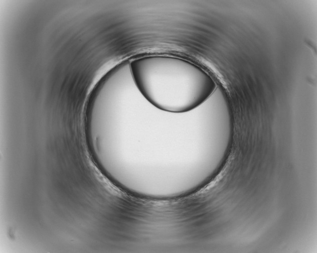 X0000094201122200710260906