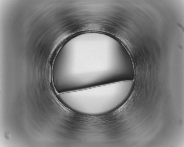 X0000094201123200710260906