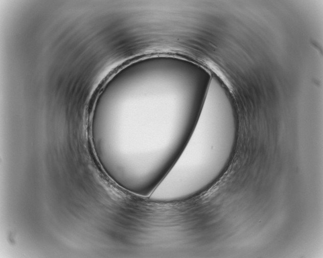 X0000094201124200710260906