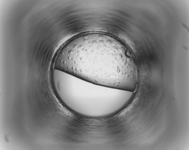 X0000094201125200710260907