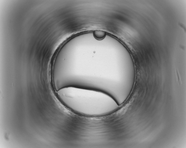 X0000094201126200710260907