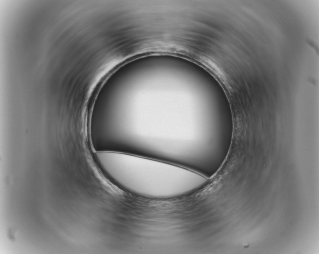 X0000094201128200710260907