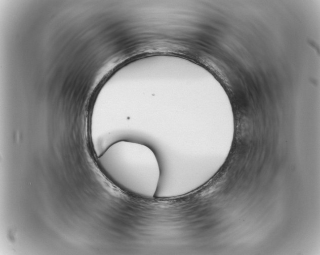 X0000094201130200710260907