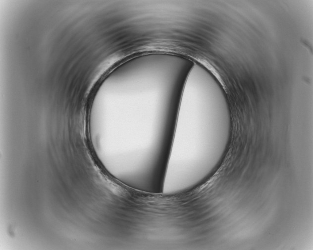 X0000094201131200710260907