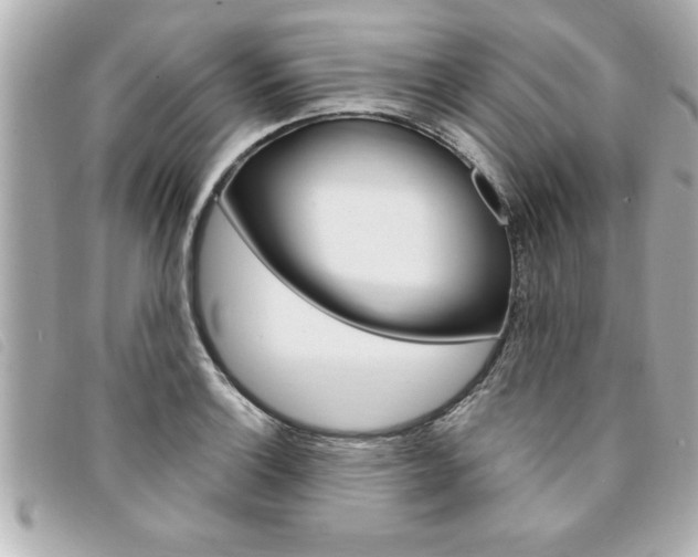 X0000094201132200710260907