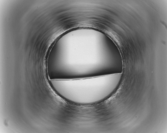 X0000094201133200710260907