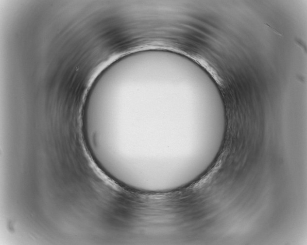 X0000094201134200710260907