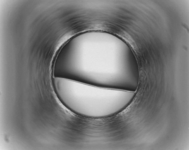 X0000094201135200710260907