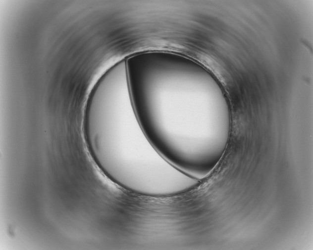 X0000094201136200710260907