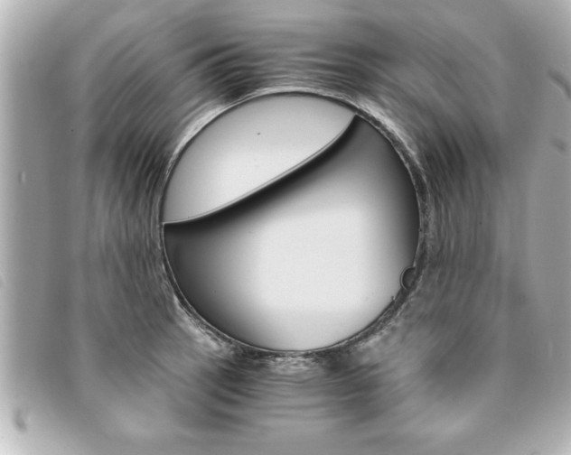 X0000094201137200710260907