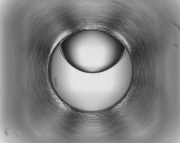 X0000094201138200710260907
