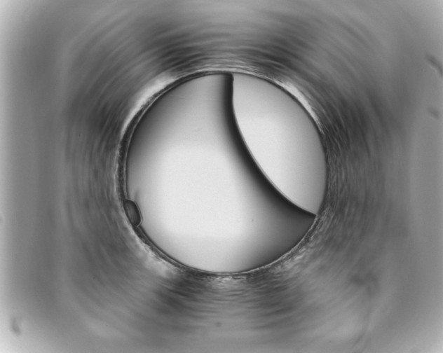 X0000094201139200710260907