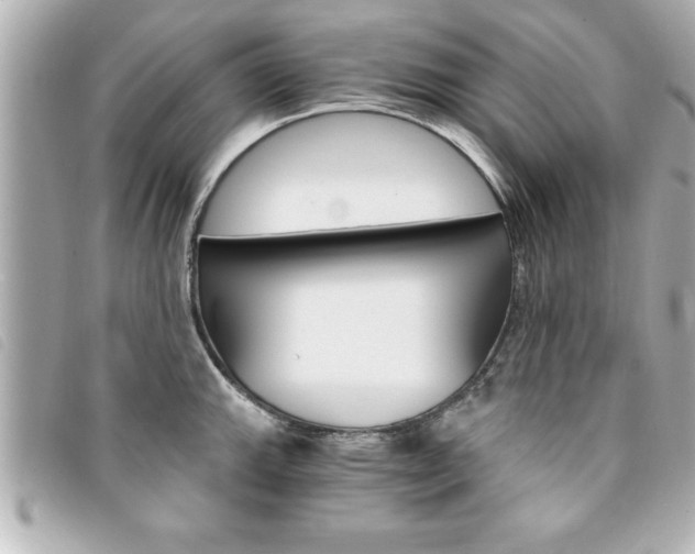 X0000094201143200710260907