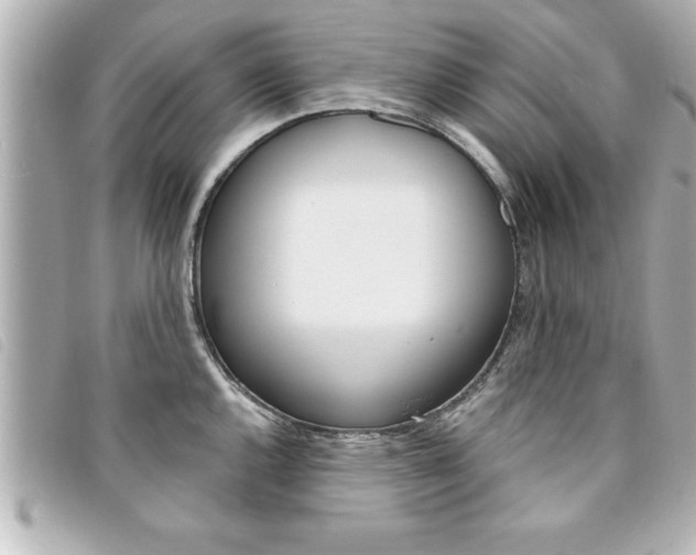 X0000094201144200710260907