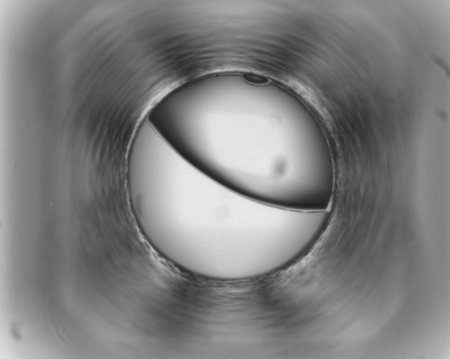 X0000094201145200710260907