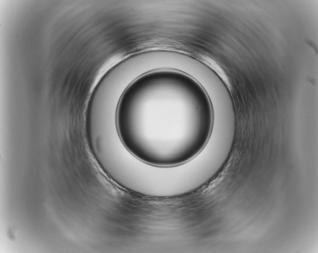 X0000094201146200710260907