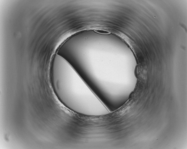 X0000094201147200710260907