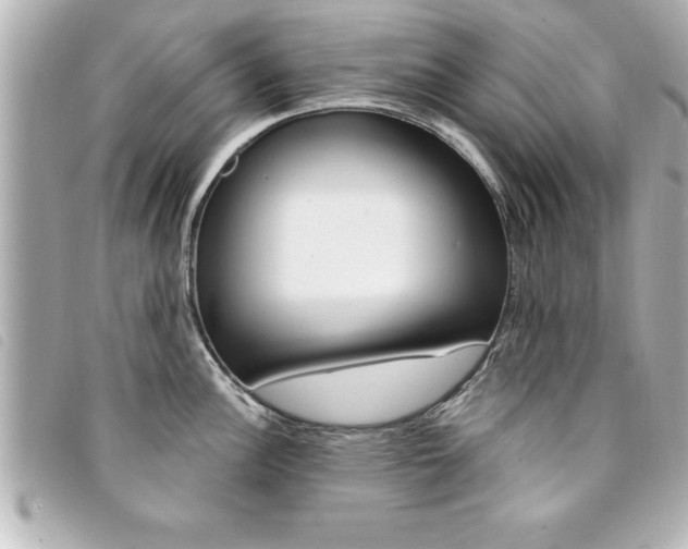 X0000094201148200710260907