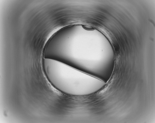 X0000094201149200710260907