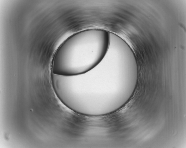 X0000094201151200710260907